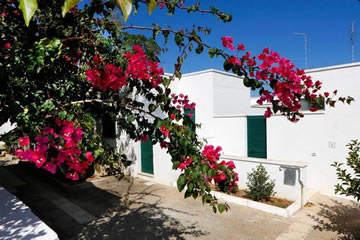 Foto degli esterni nr. 11