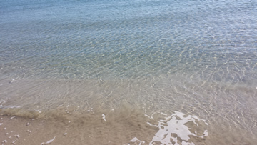 Foto degli esterni nr. 3