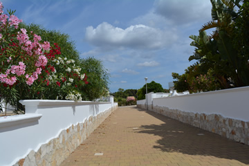 Foto degli esterni nr. 9