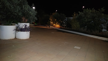 Foto del giardino nr. 21